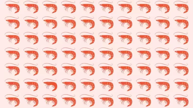 Observation Skills Test: Can you find the odd Prawn within 12 seconds?