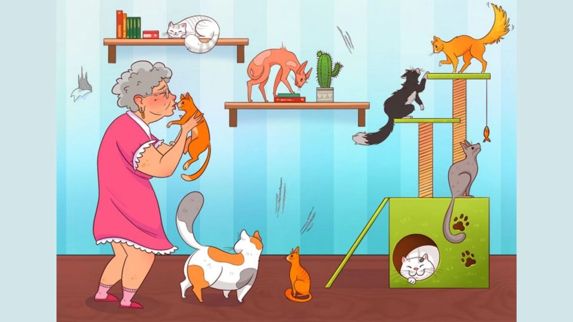Only 50/50 HD Vision People Can Spot Mistake in Granny’s Cat Room Picture