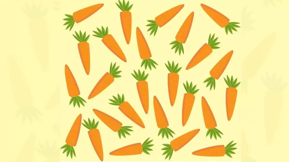 Only Sharp Eyes Can Spot the Odd Carrot in this Image in Just 8 Seconds?