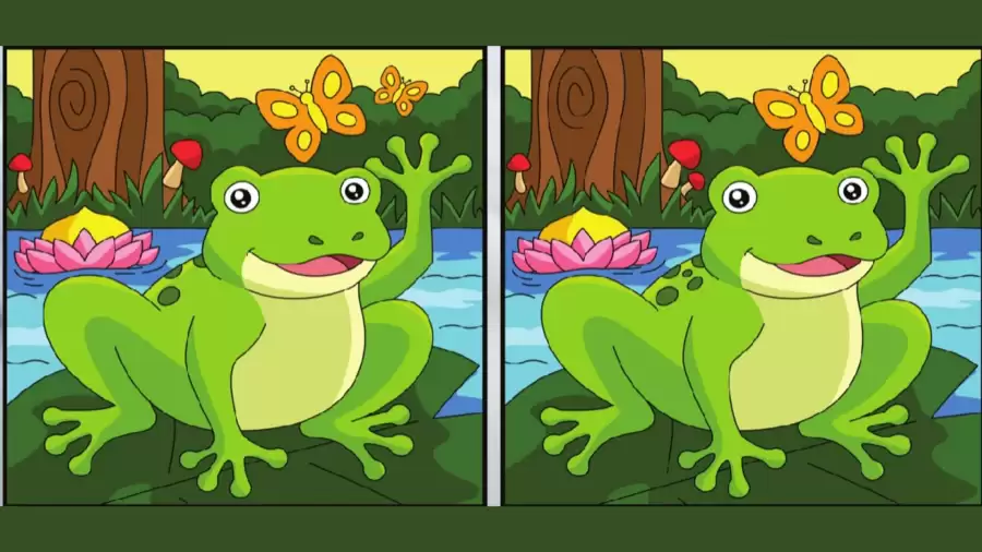 Only a Genius Can Find the 5 Differences in less than 25 seconds!