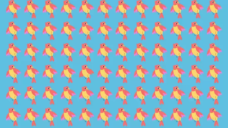 Optical Illusion Brain Test: Can you spot the odd Bird in the picture within 08 seconds?