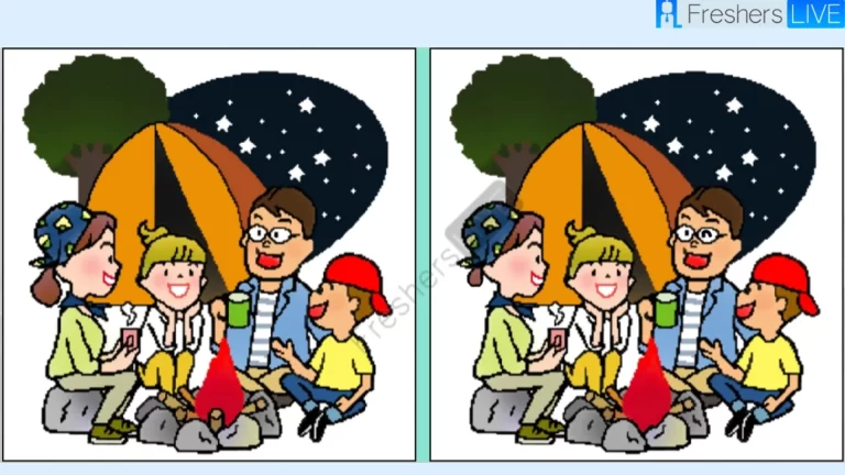 Spot 3 differences between the camping pictures in 9 seconds!