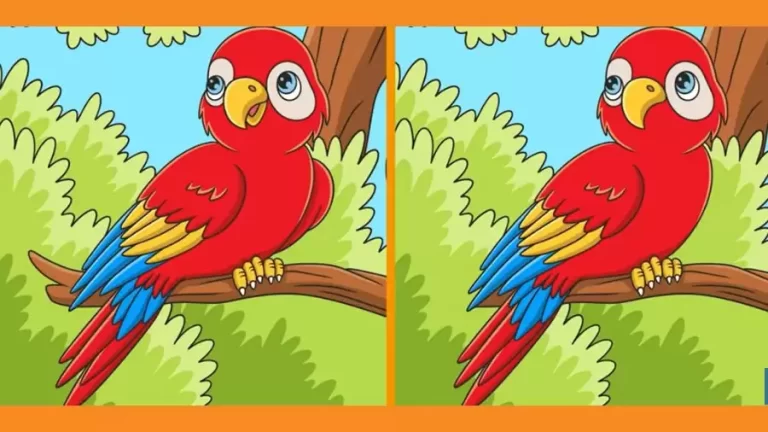 Spot the difference Game: Can you Find the 3 differences in this Parrot picture in 20 Seconds