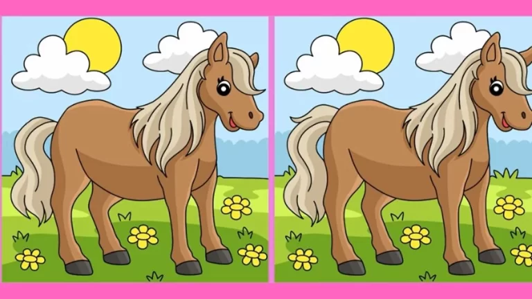 Spot the difference Game: Only a genius can find the 3 differences in less than 30 seconds!