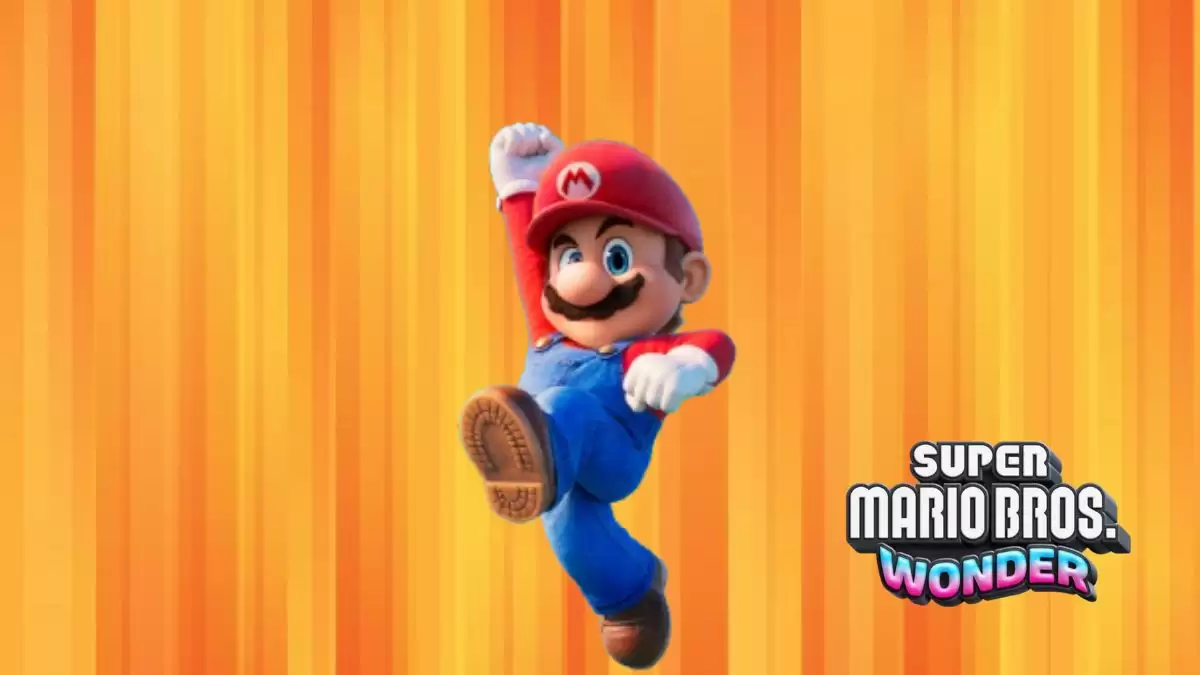 Super Mario Bros. Wonder Search Party Guide, Take a Look!