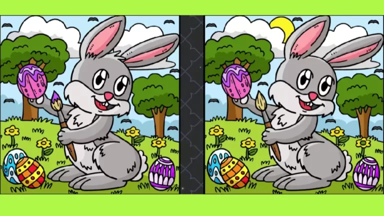 Use your extra sharp eyes and spot 3 differences in the Rabbit picture in 15 seconds