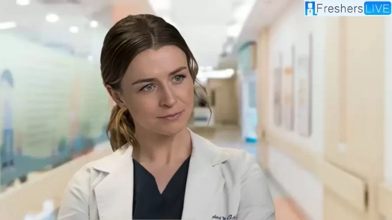 Who is Amelia Shepherd? Who Plays Amelia Shepherd?