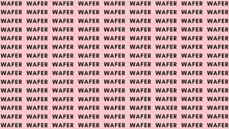 Observation Skill Test: If you have Eagle Eyes find the Word Waxer among Wafer in 10 Secs