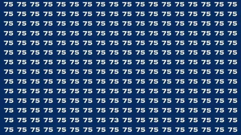 Observation Brain Test: If you have Hawk Eyes Find the Number 73 among 75 in 15 Secs