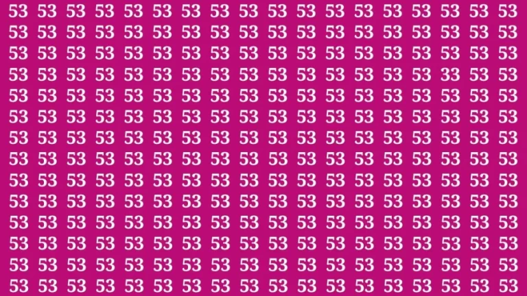 Observation Brain Test: If you have Keen Eyes Find the Number 33 among 53 in 15 Secs