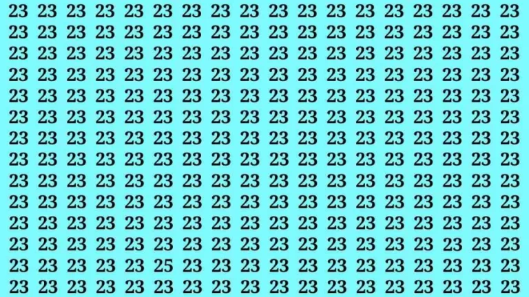 Observation Brain Test: If you have Keen Eyes Find the Number 25 among 23 in 15 Secs