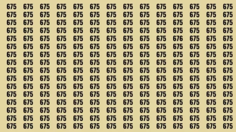 Observation Brain Test: If you have Sharp Eyes Find the Number 676 among 675 in 10 Secs