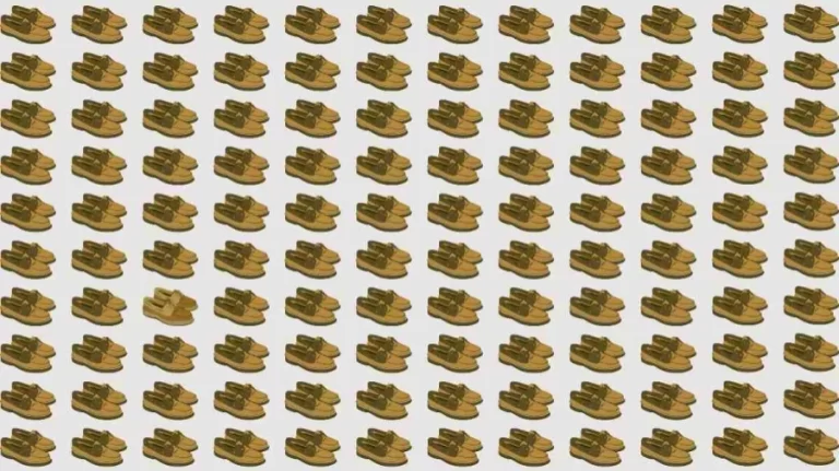 Optical Illusion Brain Test: If you have Sharp Eyes find the Odd Shoes in 8 Seconds