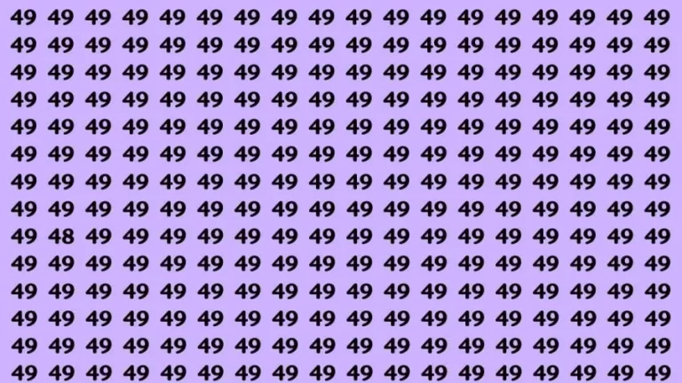 Observation Brain Test: If you have Keen Eyes Find the Number 48 in 15 Secs