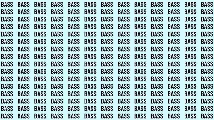 Observation Skill Test: If you have Eagle Eyes find the Word Boss among Bass in 15 Secs