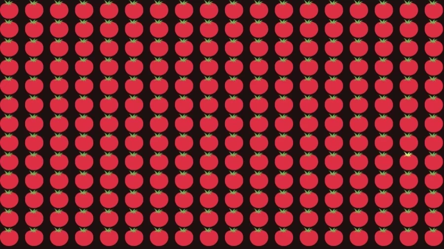 Optical Illusion: If you have Sharp Eyes find the Odd Tomato in 10 Seconds