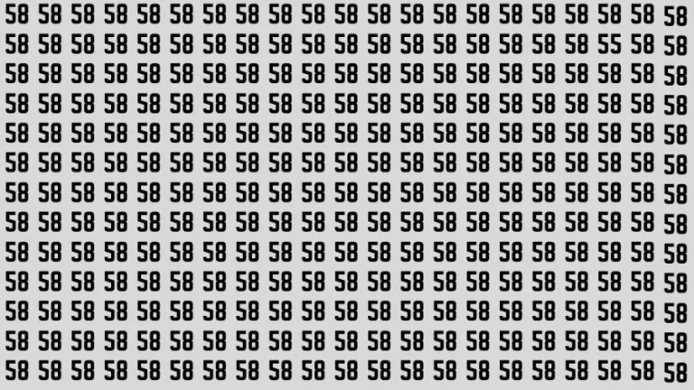 Observation Brain Test: If you have Keen Eyes Find the Number 55 among 58 in 15 Secs