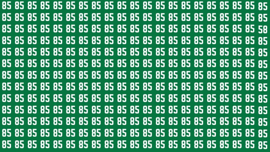 Observation Brain Test: If you have Eagle Eyes Find the Number 58 among 85 in 12 Secs