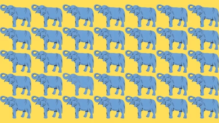 Brain Teaser Eye Test: Can you Spot the Odd One Out in this Image? Picture Puzzle