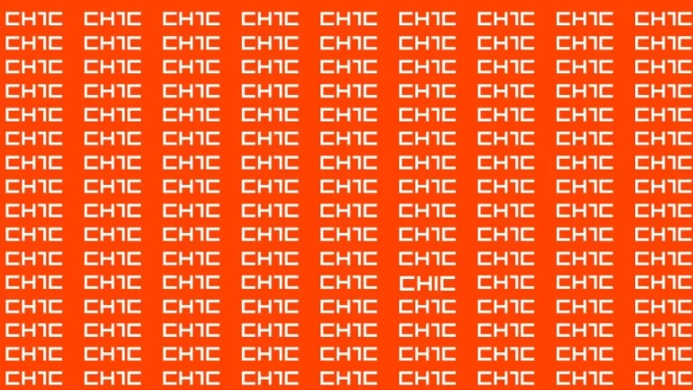 Observation Brain Test: If you have Hawk Eyes Find the Word Chic in 15 Secs