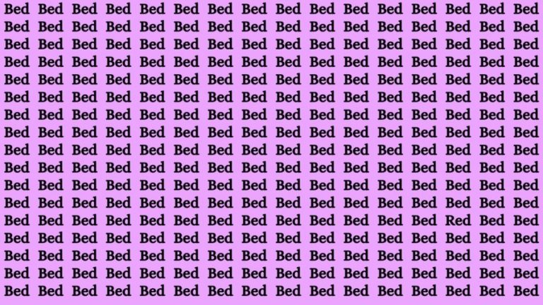 Observation Brain Test: If you have Hawk Eyes Find the Word Red among Bed In 15 Secs