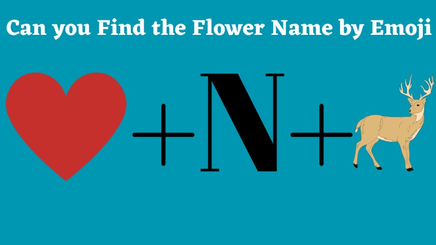 Brain Teaser Emoji Puzzle: Can You Find the Flower Name by Emojis in 12 Seconds?
