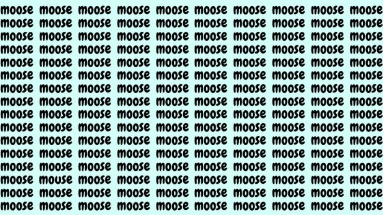 Optical Illusion: If you have Hawk Eyes find the Word Mouse among Moose in 20 Secs