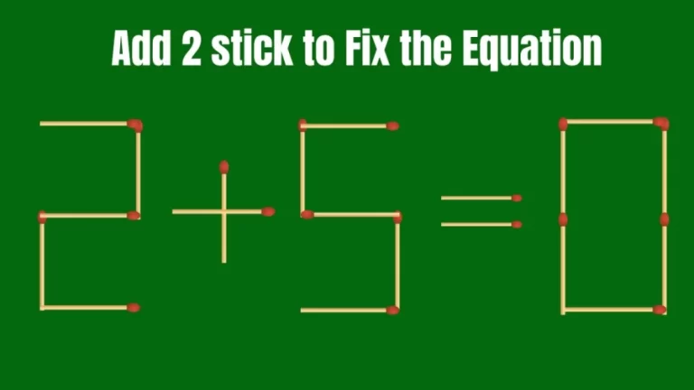 Add 2 Sticks and Fix the Equation 2+5=0 – Matchstick Brain Teaser