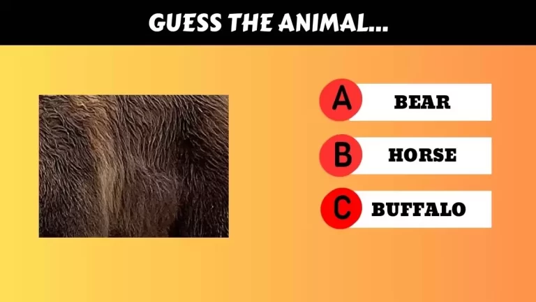 Are you an animal lover? Guess the Animal’s Name in 15 Secs