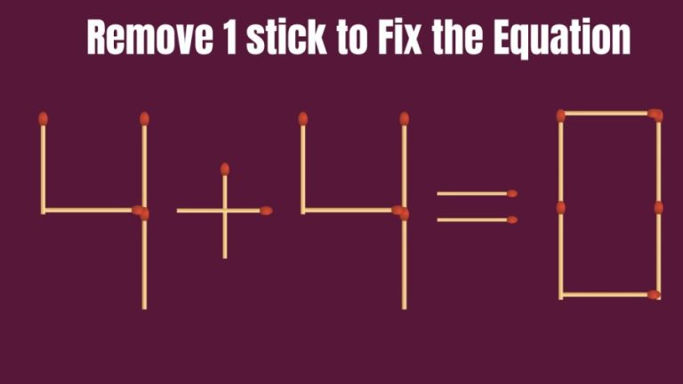 Brain Teaser: 4+4=0 Remove 1 Matchstick to Fix the Equation by 30 Secs| Matchstick Puzzle