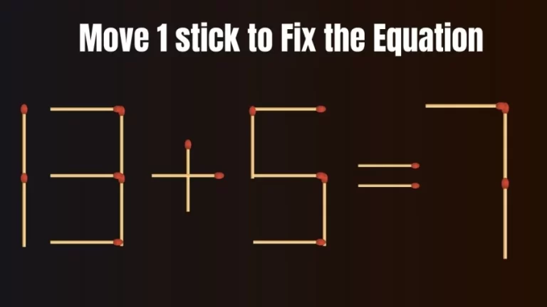 Brain Teaser: Can you Move 1 Stick to Fix the Equation in 20 Seconds?