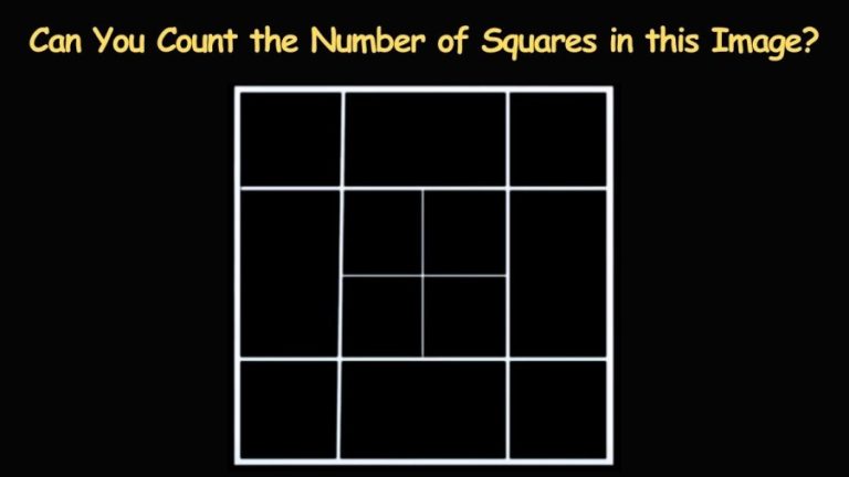 Brain Teaser Eye Test: Can You Count the Number of Squares in this Image?