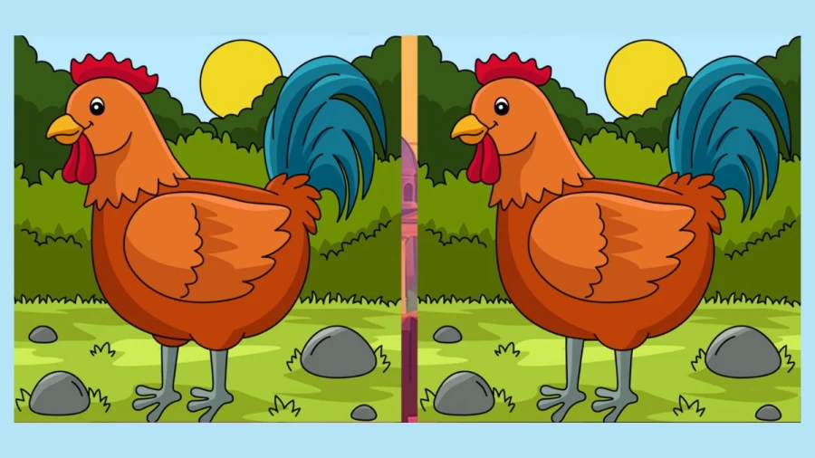 Can you Spot 5 Differences in these Pictures?