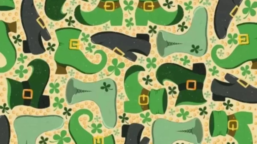 Can you spot the Hidden Three Leaf Clover among these Shoes within 15 Seconds?