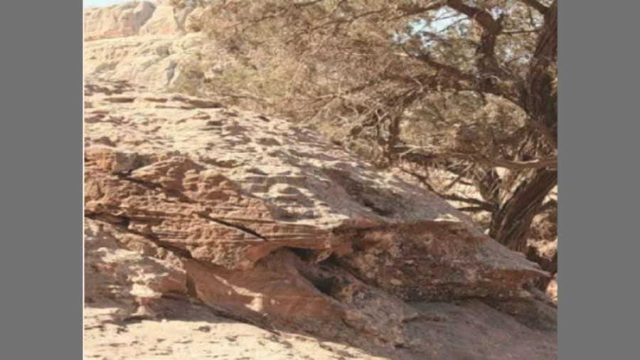 IQ Test: Can You Find Two Cats Hidden In the Rocks in 15 Seconds? Explanation and Solution to this Optical Illusion