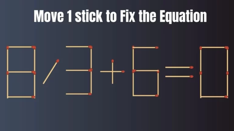 Matchstick Brain Teaser: 8/3+6=0 Fix The Equation By Moving 1 Stick | Matchstick Brain Test