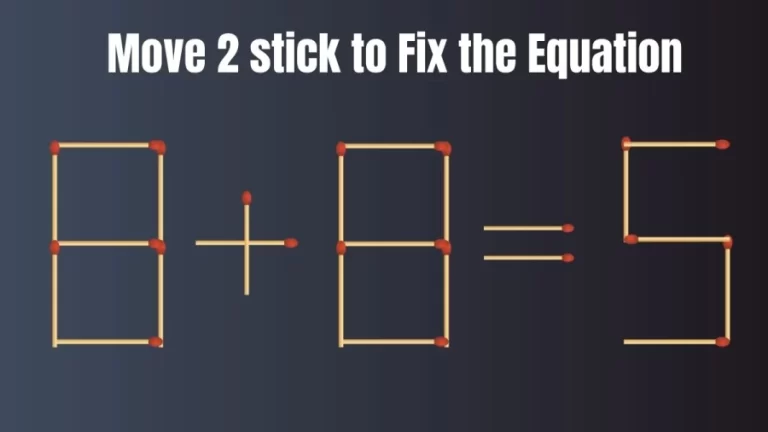 Matchstick Brain Teaser: Move 2 Sticks and Correct the Equation 8+8=5 in 18 Seconds || Tricky Puzzle