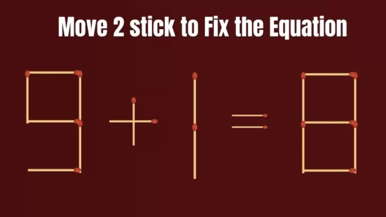 Matchstick Brain Test: Move 2 Sticks and Correct the Equation 9+1=8 | Hard Puzzle