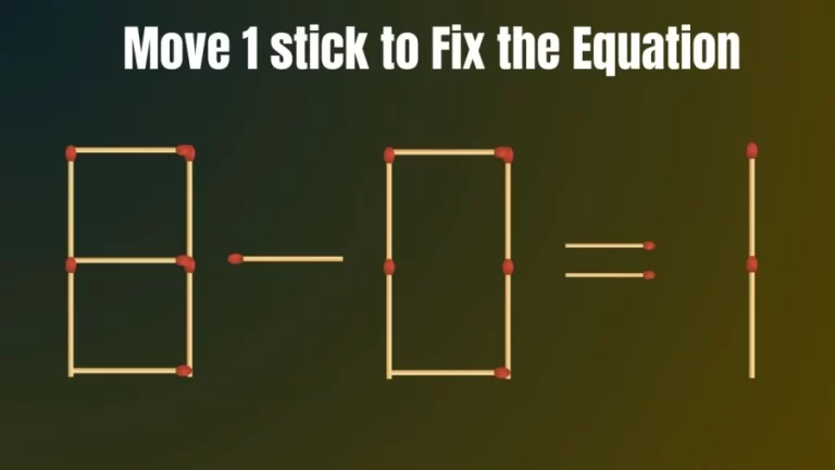 Move 1 Stick to Make the Equation True 8-0=1 II Brain Teaser Matchstick Puzzle