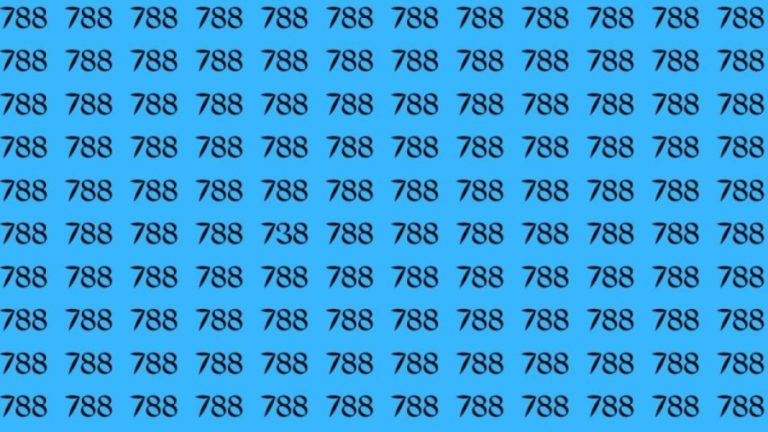 Observation Skill Test: Can you find the number 738 among 788 in 10 seconds?