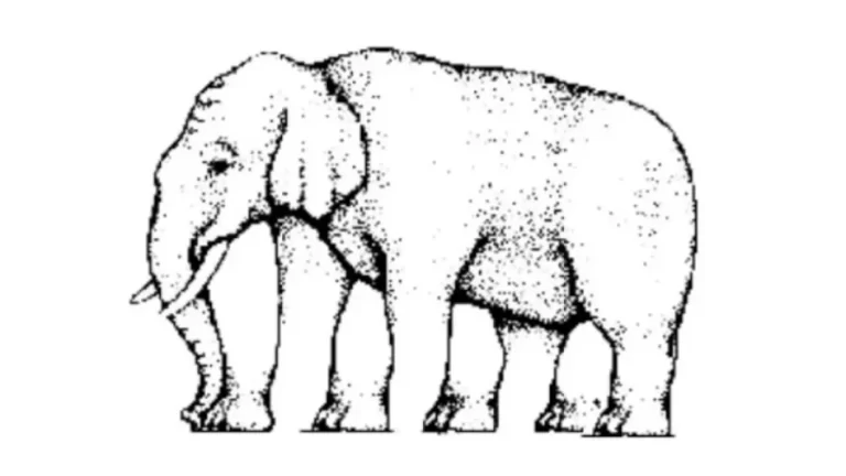 Observation Skill Test: Can you see how many legs this elephant has?