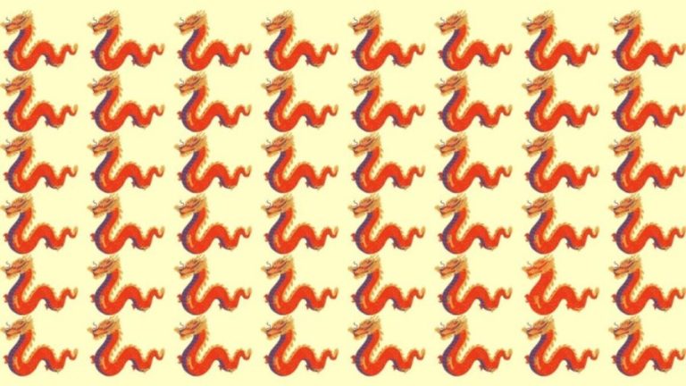 Observation Skill Test: Can you spot which Dragon is different in 10 seconds?