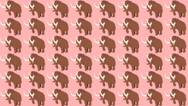 Observation Skills Test: Can you find the odd Mammoth within 12 seconds?