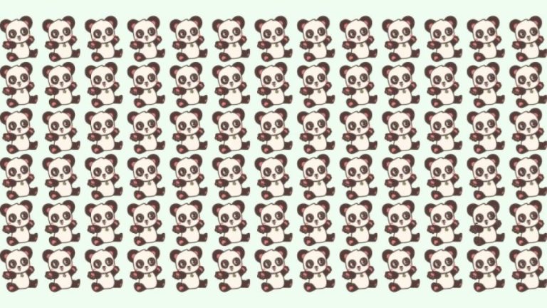 Observation Skills Test: Can you find the odd Panda within 12 seconds?