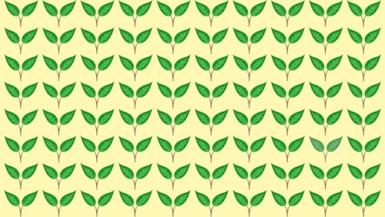 Observation Skills Test: Can you spot which Leaves are different in 10 seconds?