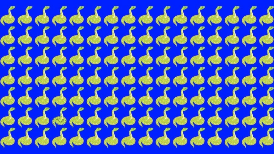 Mind-bending Brain Teaser Challenge You to Find the Number 243 in 10 Secs