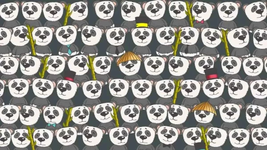 Observation Skills Test: You Need to find hidden Polar Bear among the Pandas in 16 Secs?