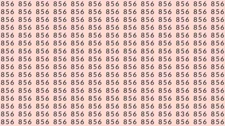 Observations Skills Testt: If you have Sharp Eyes find the number 836 among 856 in 7 Seconds?