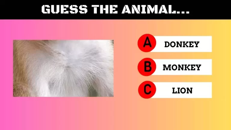 Only 3% of People can Guess the Animal Name in Less than 10 Seconds