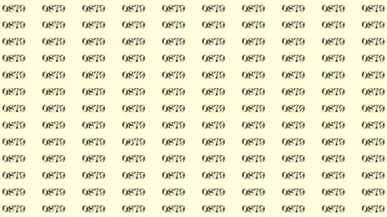 Optical Illusion: Can you find 0679 among 0879 in 15 Seconds? Explanation and Solution to the Optical Illusion